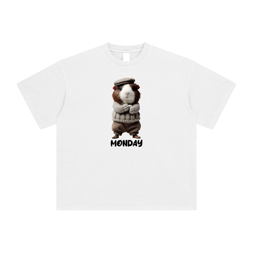 Monday - Enzyme Washed T-Shirt (Light) - 250 GSM