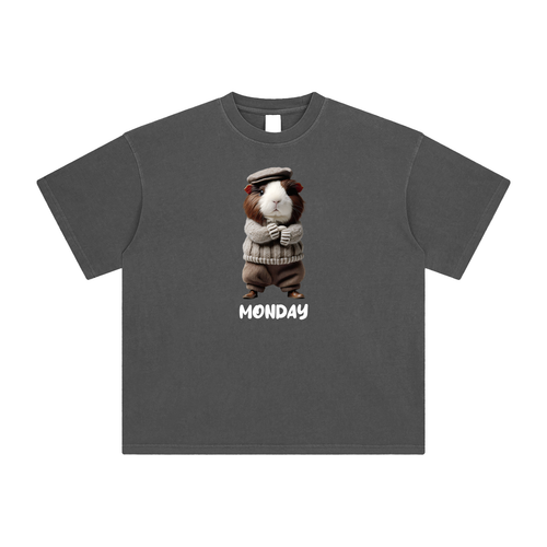 Monday - Enzyme Washed T-Shirt -  250 GSM